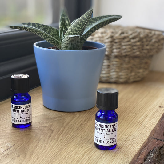 frankincense, frankincense oil, frankincense essential oil, raw ingredient, pure oil, pure essential oil, resin oil, relaxing oil, relaxing essential oil, purify, purifying oil, purifying essential oil, detox, clean air, detox air, detoxifying essential oil, oil burner