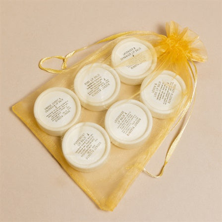 Lip Balm Bundle