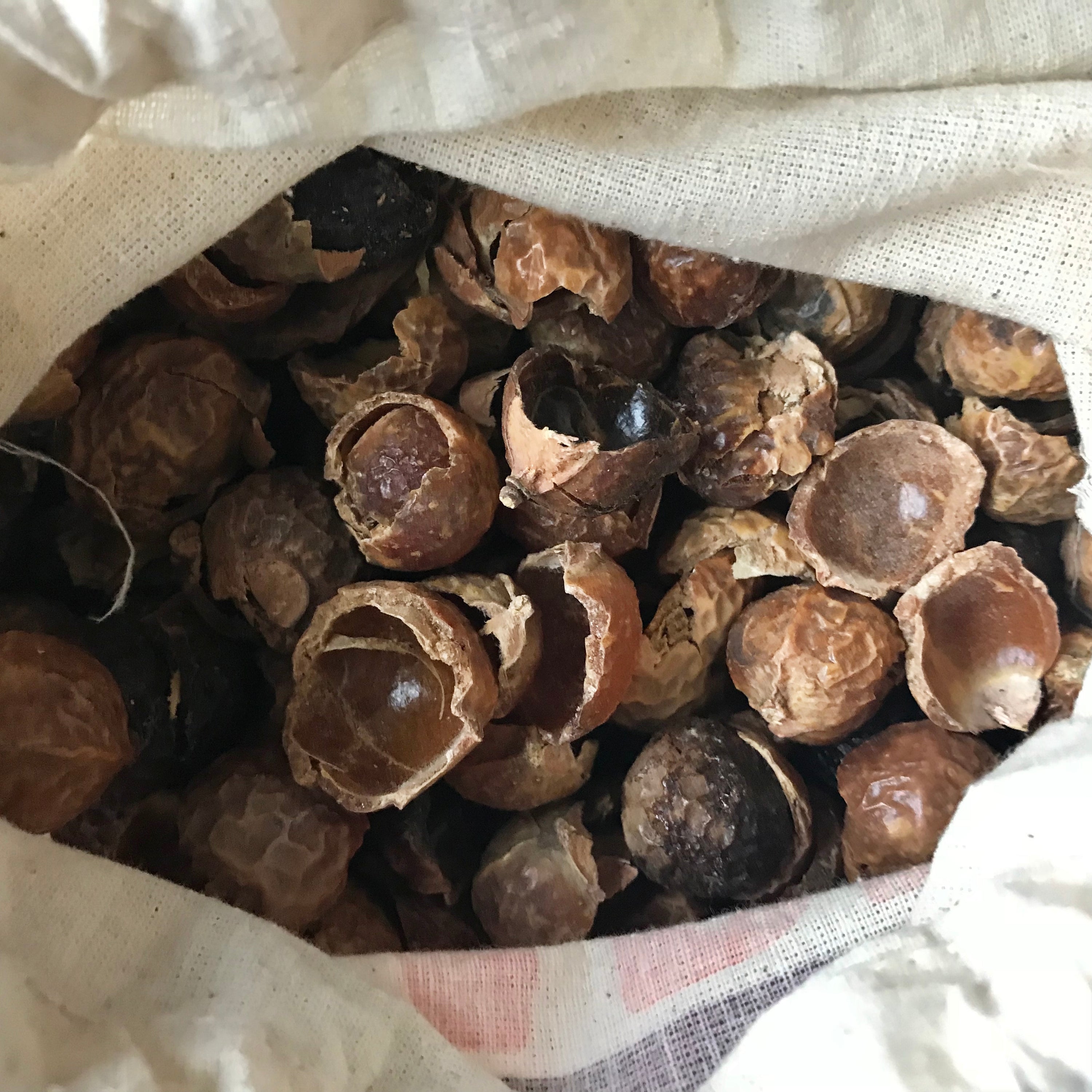 DIY Soap Nuts Recipes SUNEETA COSMETICS LONDON