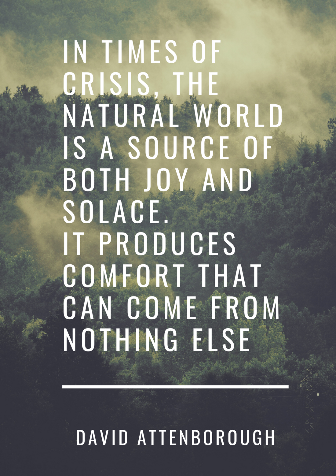 suneeta London, cosmetics zero waste skincare natural vegan