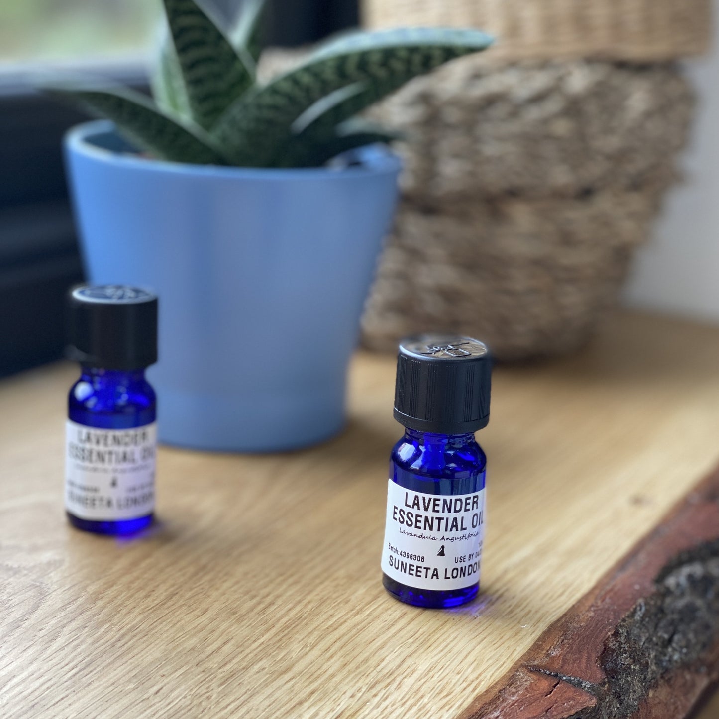 Lavender Essential Oil