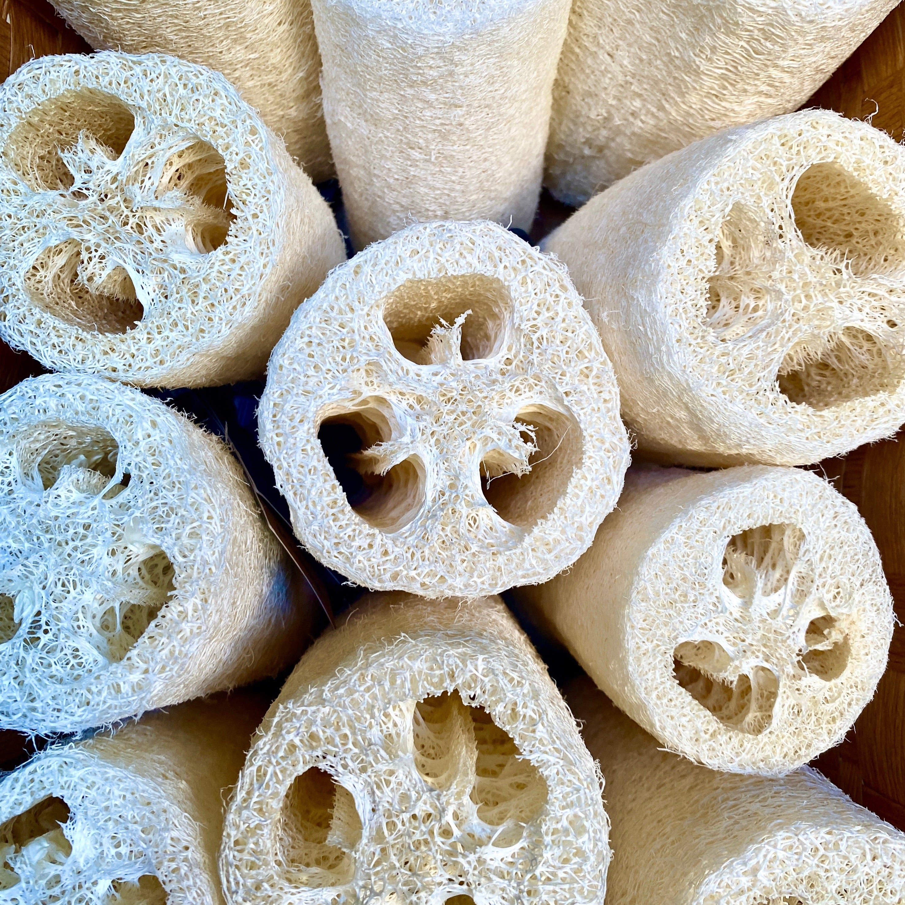 Loofah String Natural Loofah with String – SUNEETA COSMETICS LONDON
